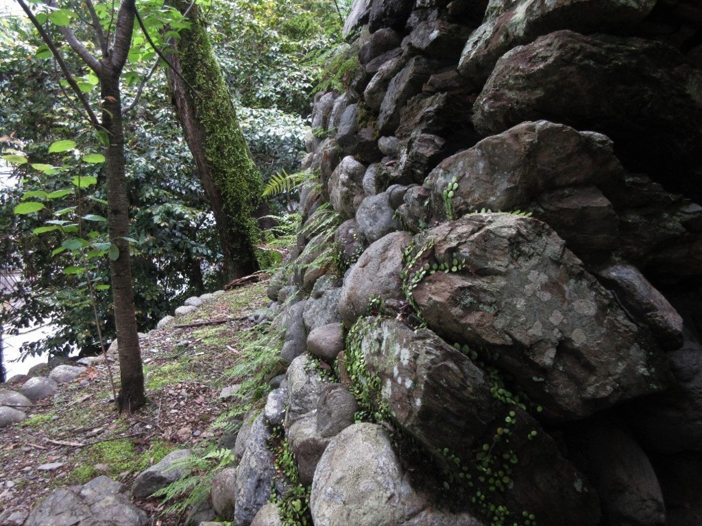 f:id:nonoty32a:20180602095905j:plain