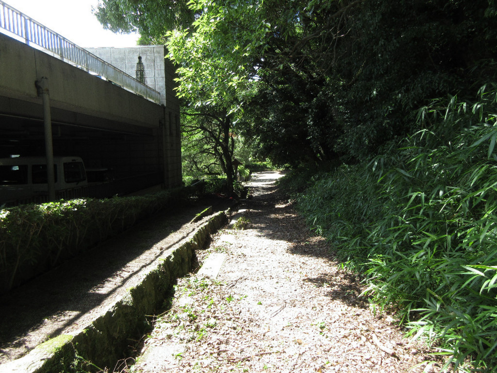 f:id:nonoty32a:20180718171731j:plain