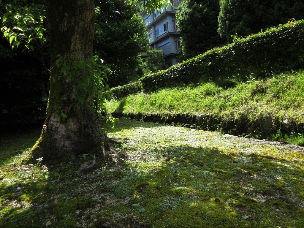 f:id:nonoty32a:20180718172028j:plain