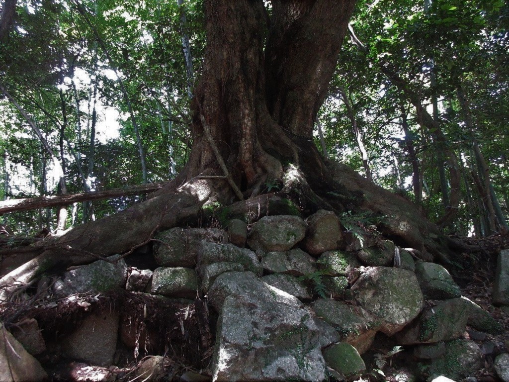 f:id:nonoty32a:20180718172334j:plain