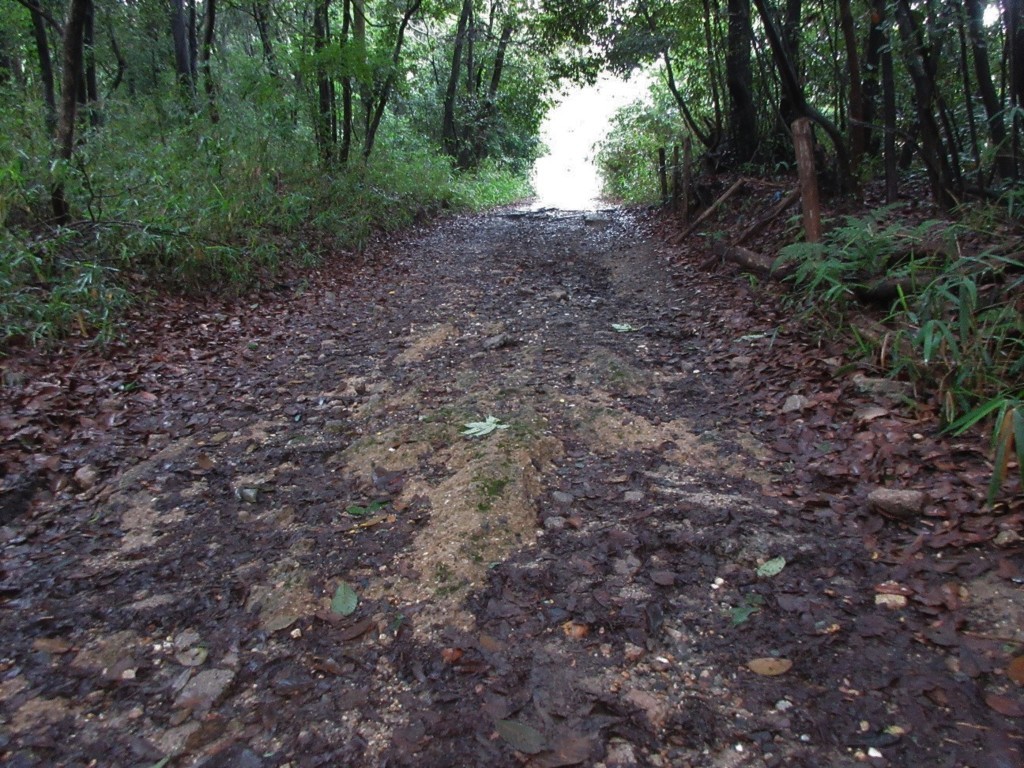 f:id:nonoty32a:20180721194339j:plain