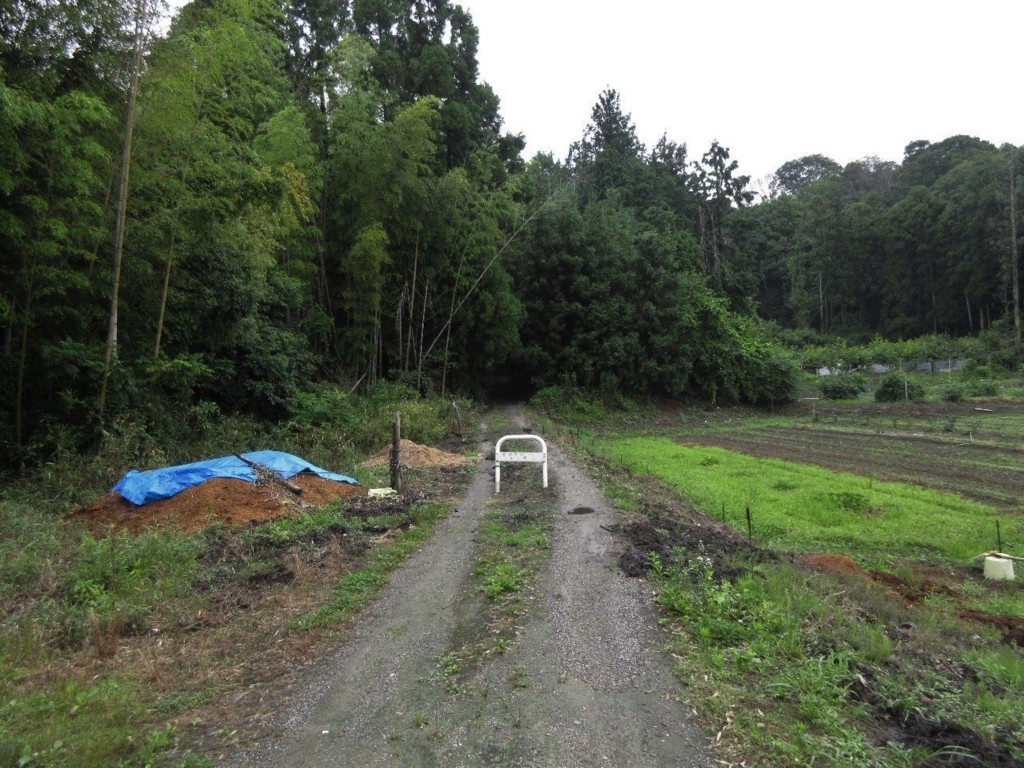 f:id:nonoty32a:20180721194637j:plain