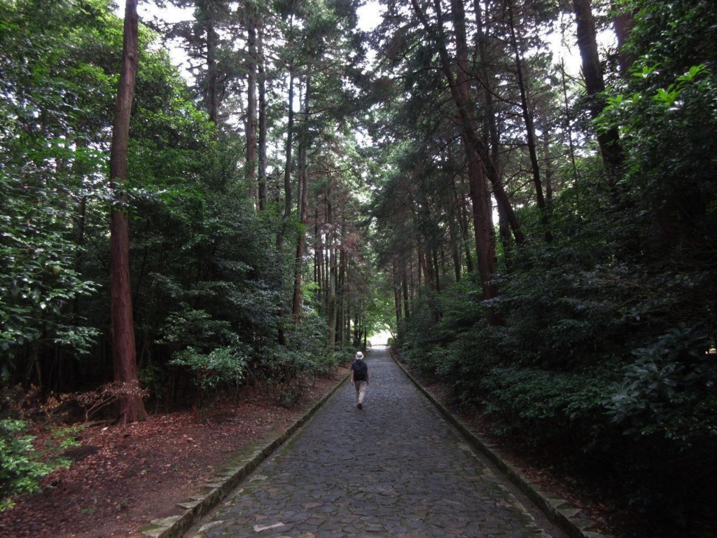 f:id:nonoty32a:20180726121532j:plain f:id:nonoty32a:20180726121532j:plain