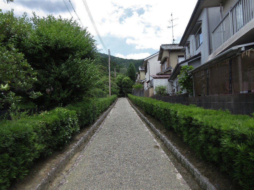 f:id:nonoty32a:20180731213452j:plain