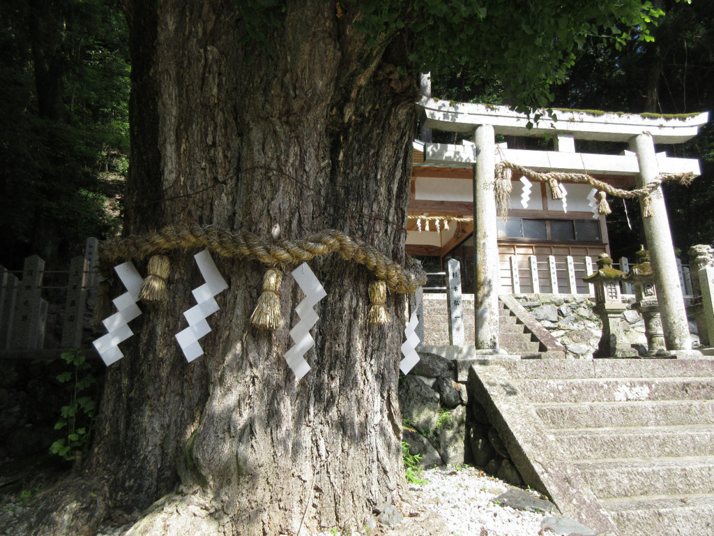 f:id:nonoty32a:20180801162518j:plain