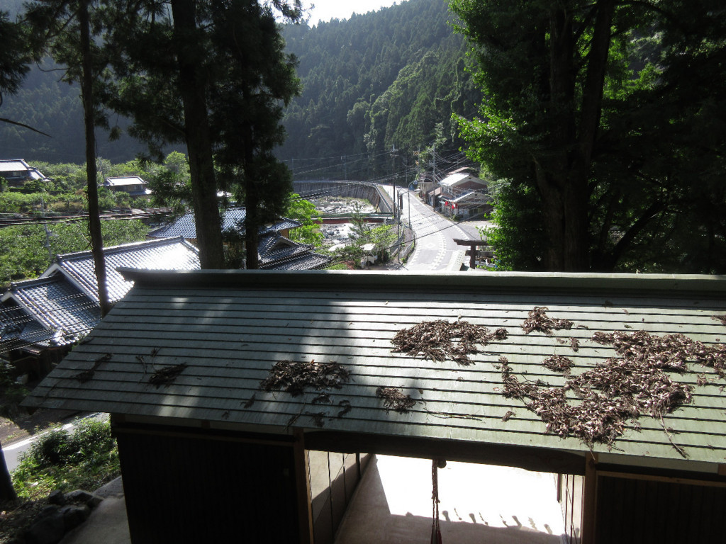 f:id:nonoty32a:20180801162901j:plain