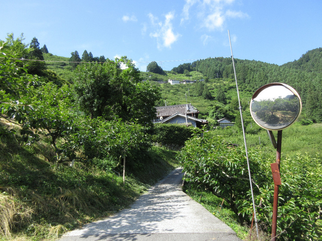 f:id:nonoty32a:20180801163536j:plain