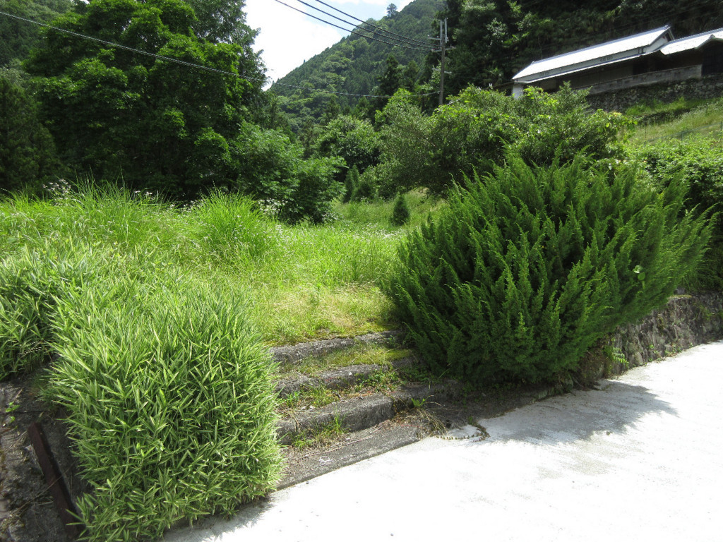 f:id:nonoty32a:20180807192655j:plain