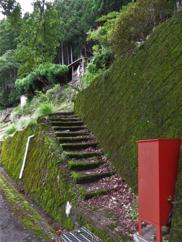 f:id:nonoty32a:20180810190909j:plain f:id:nonoty32a:20180810190909j:plain