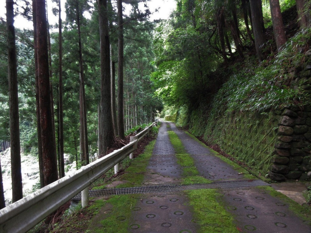 f:id:nonoty32a:20180810192224j:plain f:id:nonoty32a:20180810192224j:plain