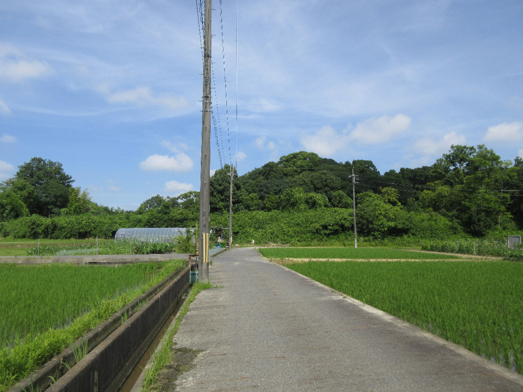 f:id:nonoty32a:20180815192242j:plain f:id:nonoty32a:20180815192242j:plain