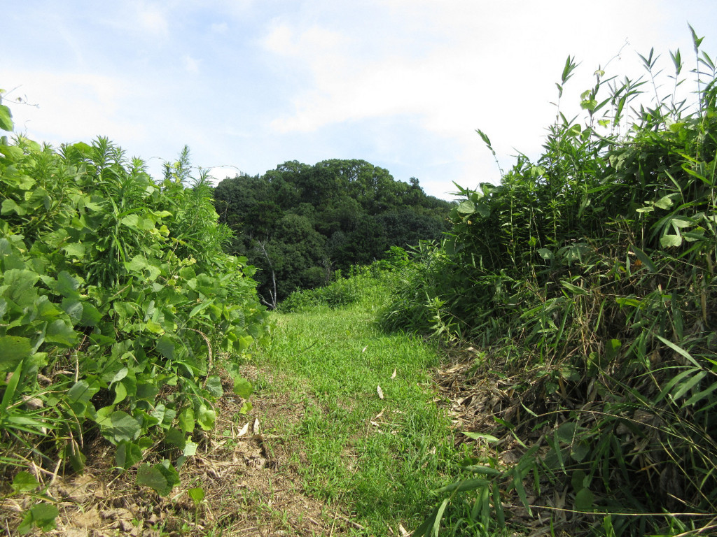 f:id:nonoty32a:20180815192352j:plain f:id:nonoty32a:20180815192352j:plain