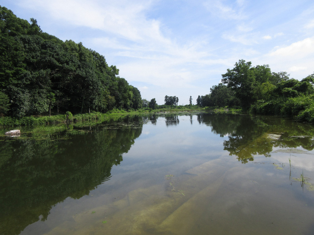 f:id:nonoty32a:20180815192541j:plain f:id:nonoty32a:20180815192541j:plain