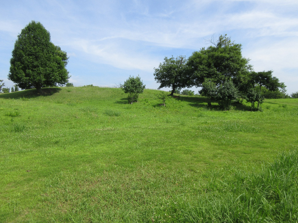 f:id:nonoty32a:20180815192731j:plain f:id:nonoty32a:20180815192731j:plain