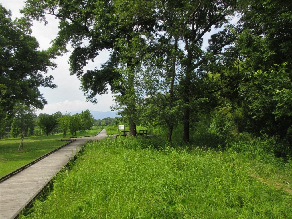 f:id:nonoty32a:20180815193128j:plain f:id:nonoty32a:20180815193128j:plain