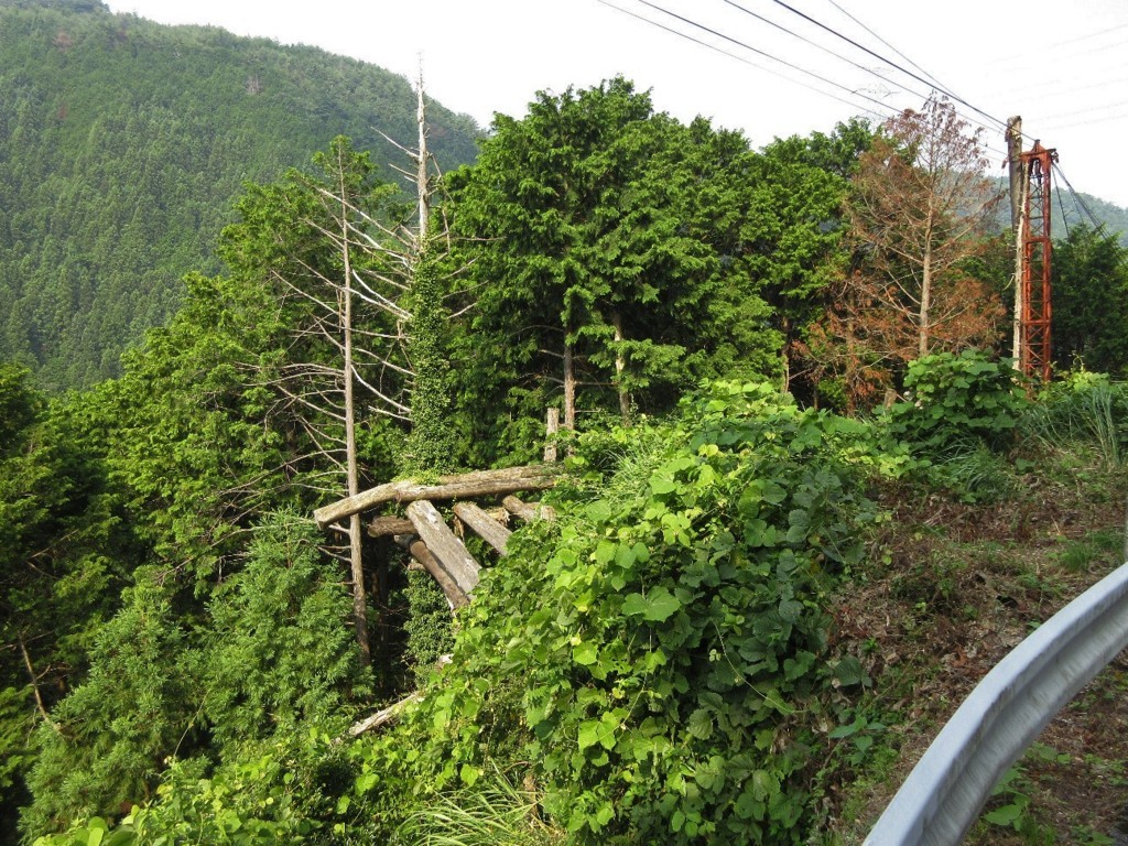 f:id:nonoty32a:20180817150836j:plain