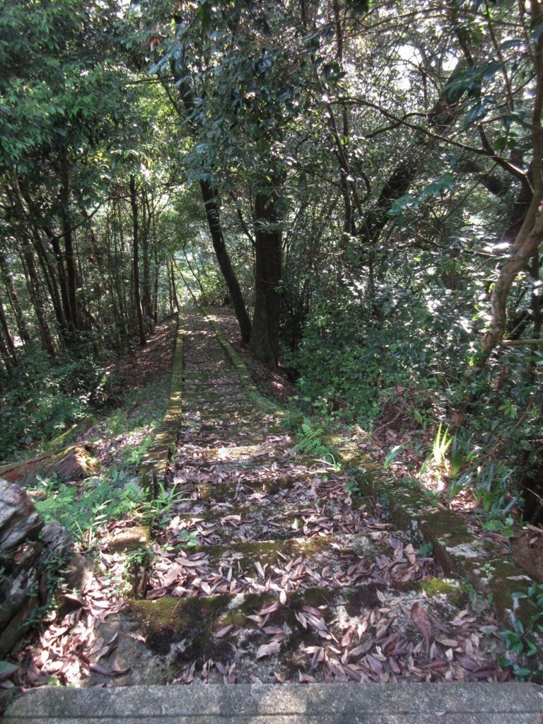 f:id:nonoty32a:20180819174246j:plain