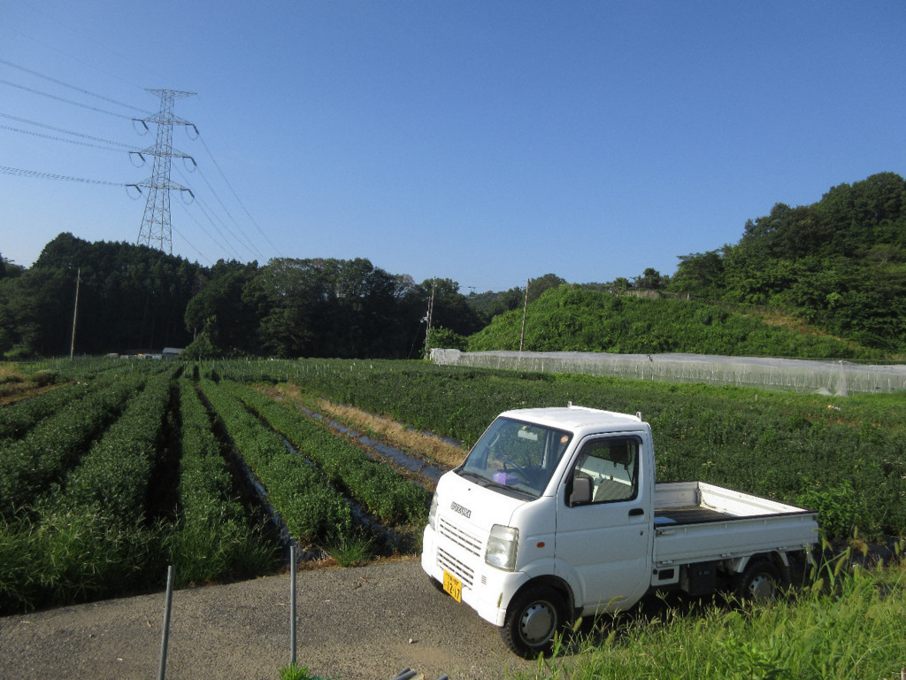 f:id:nonoty32a:20180821143802j:plain