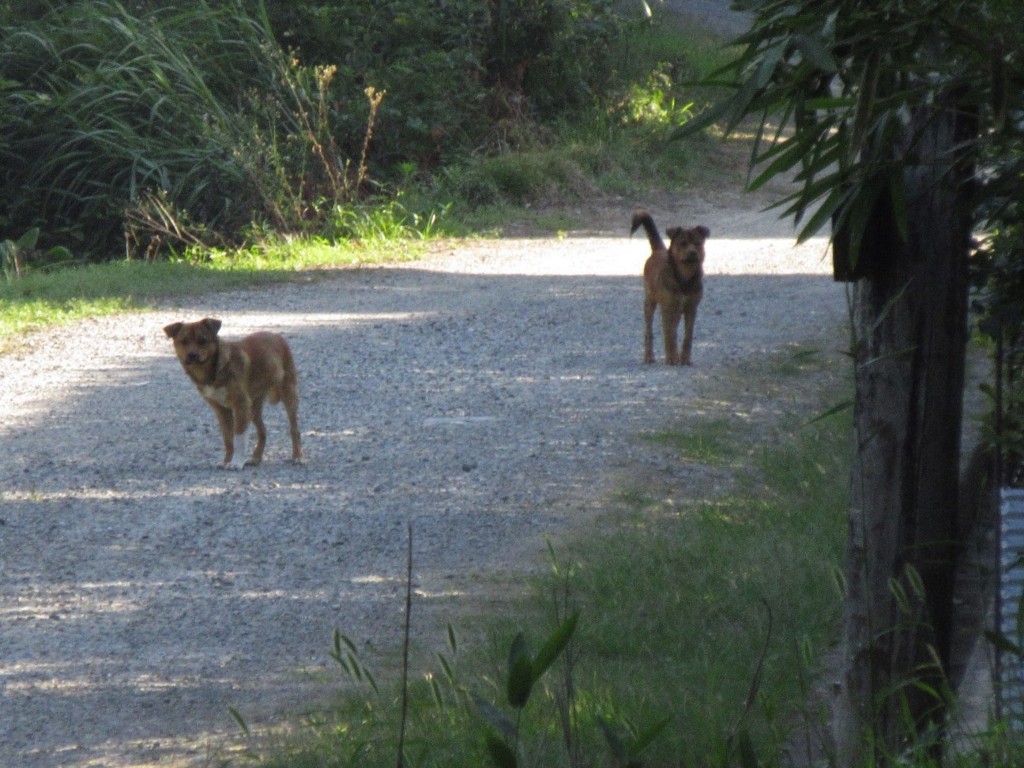 f:id:nonoty32a:20180821143926j:plain