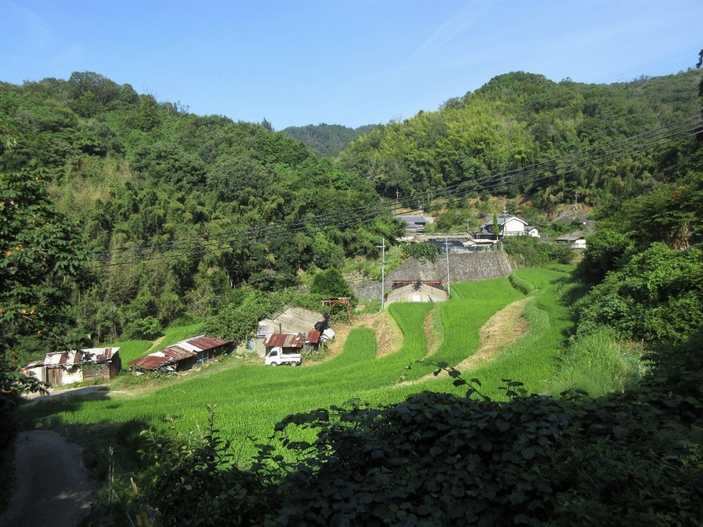 f:id:nonoty32a:20180821145640j:plain