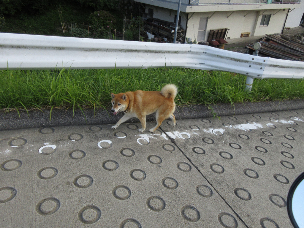 f:id:nonoty32a:20180828141539j:plain