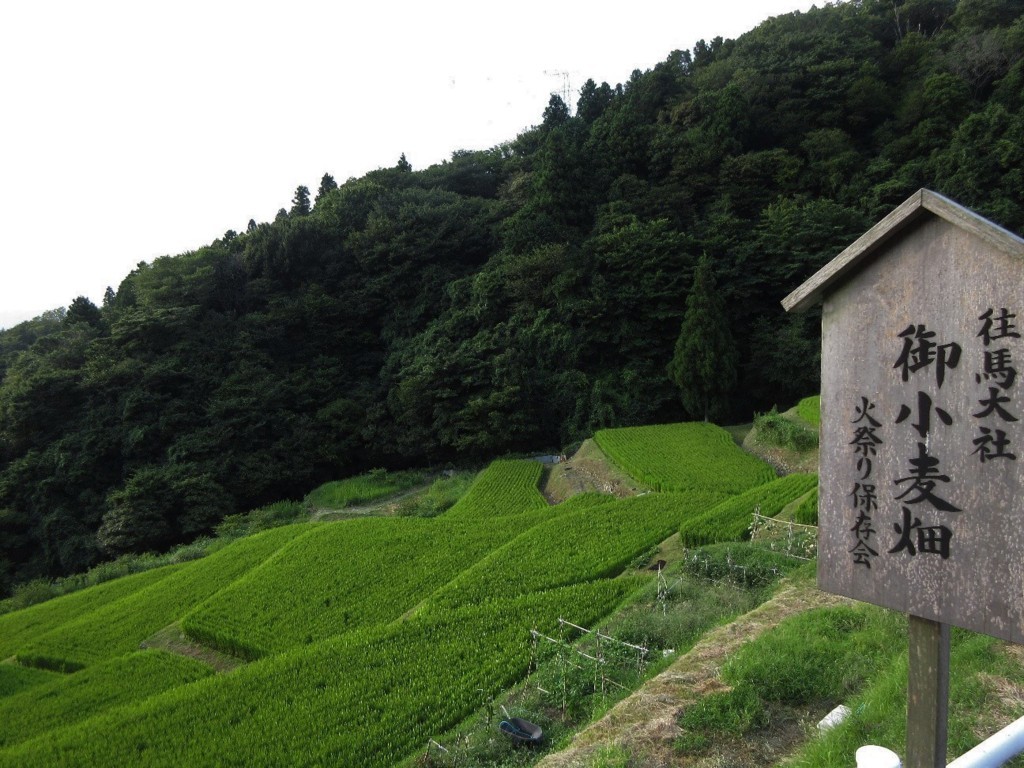 f:id:nonoty32a:20180828141811j:plain