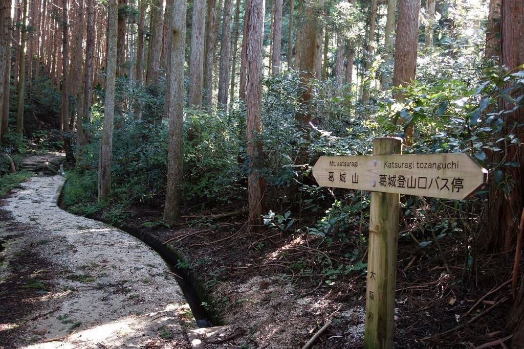 f:id:nonoty32a:20180909145102j:plain