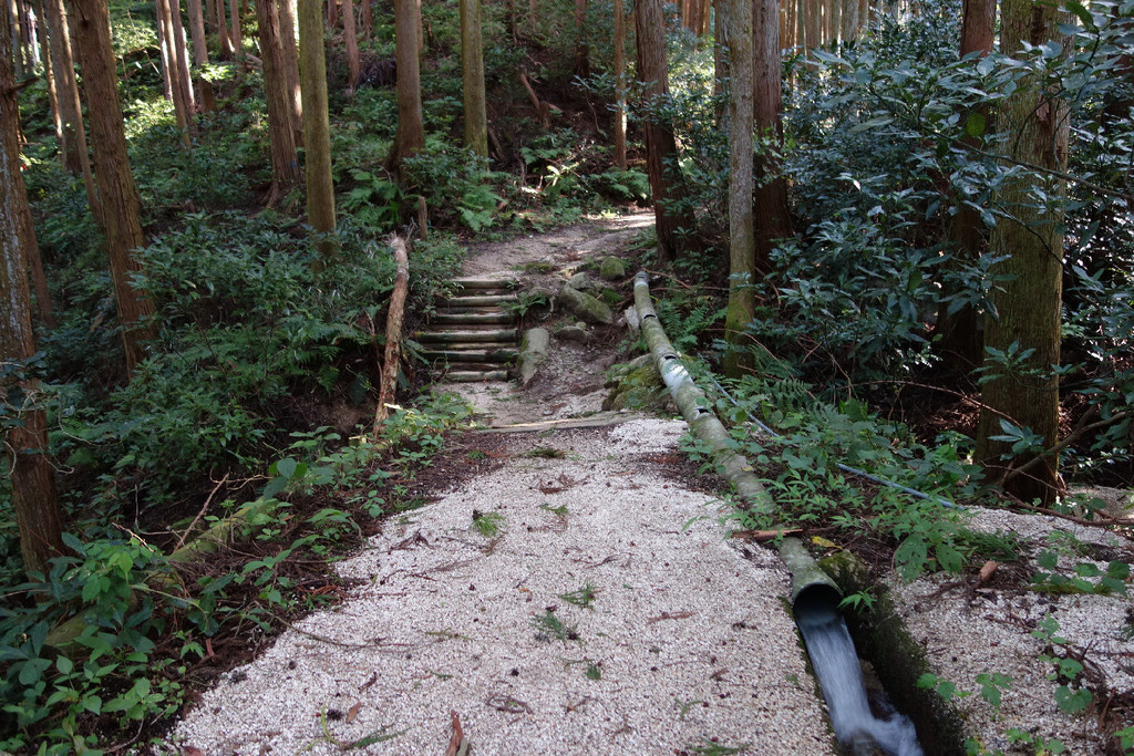 f:id:nonoty32a:20180909145125j:plain