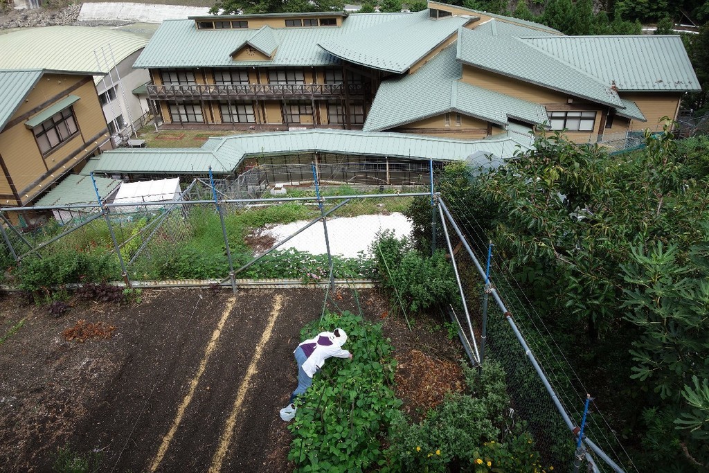 f:id:nonoty32a:20180914153952j:plain