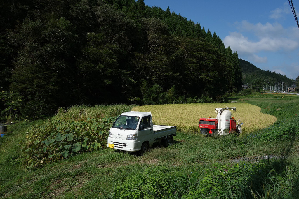 f:id:nonoty32a:20180930185232j:plain