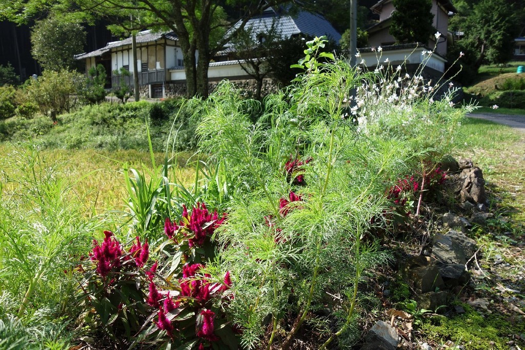 f:id:nonoty32a:20180930185402j:plain