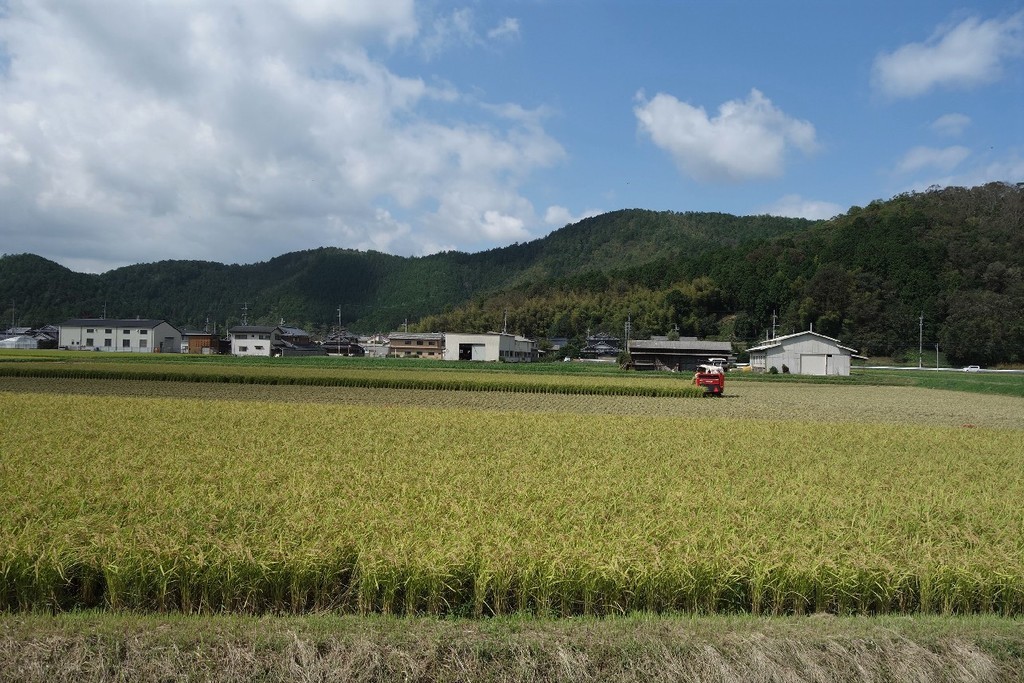 f:id:nonoty32a:20180930185442j:plain