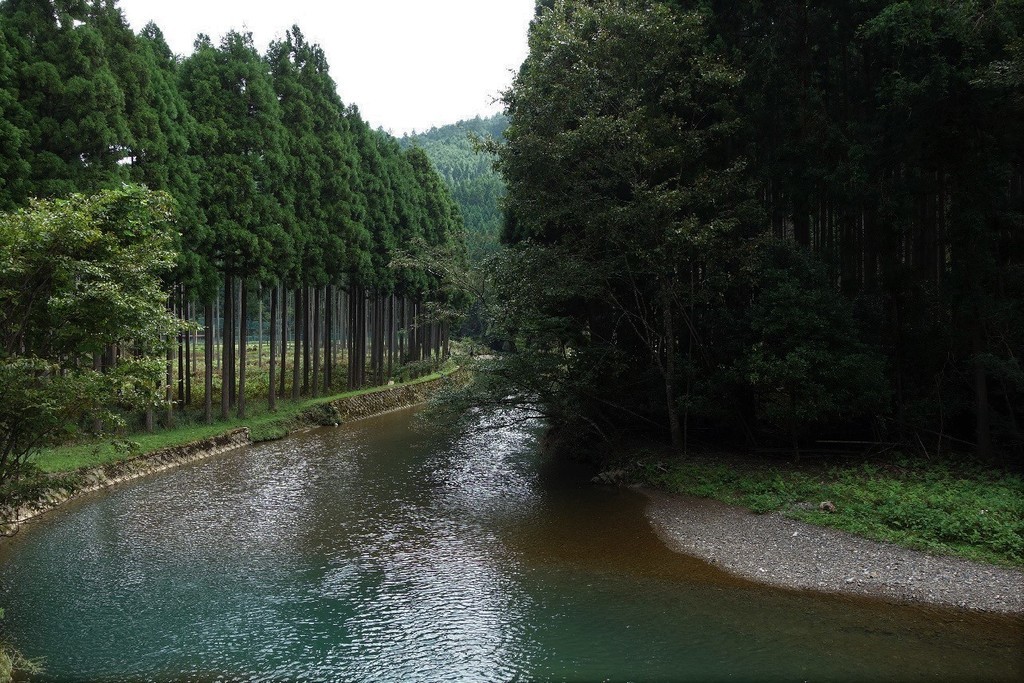 f:id:nonoty32a:20181002123140j:plain