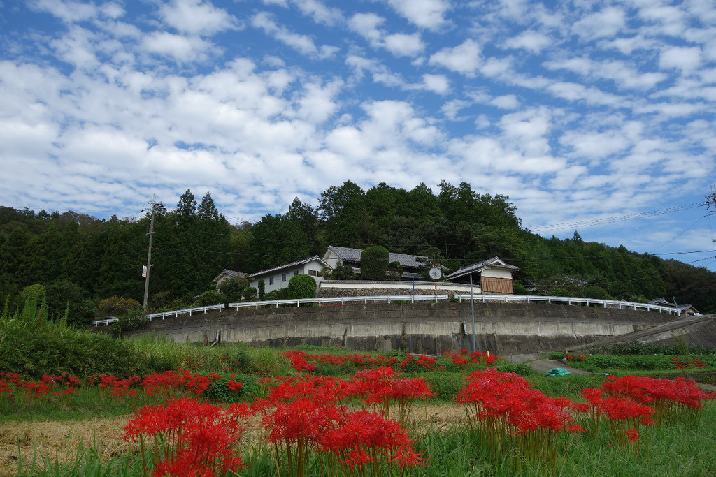 f:id:nonoty32a:20181003202541j:plain