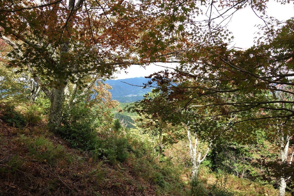 f:id:nonoty32a:20181006162743j:plain