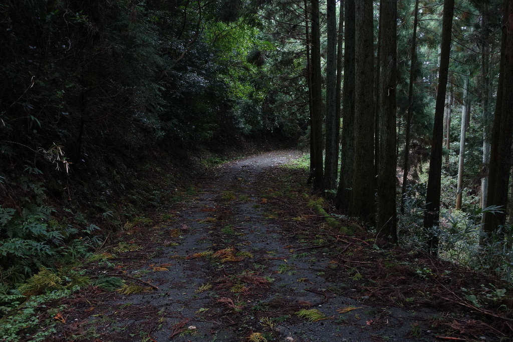 f:id:nonoty32a:20181011191743j:plain