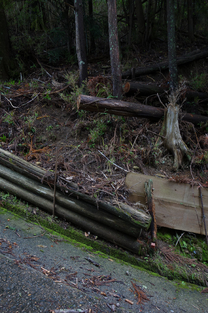 f:id:nonoty32a:20181018155542j:plain