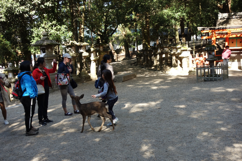 f:id:nonoty32a:20181130160014j:plain