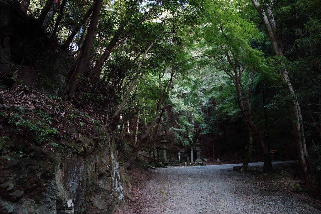 f:id:nonoty32a:20181130160223j:plain