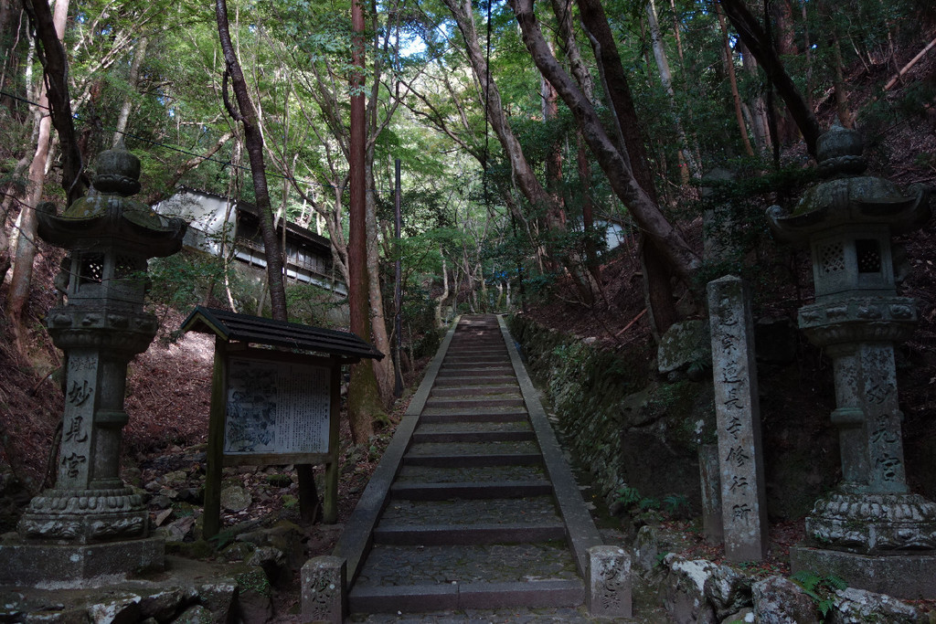 f:id:nonoty32a:20181130160304j:plain