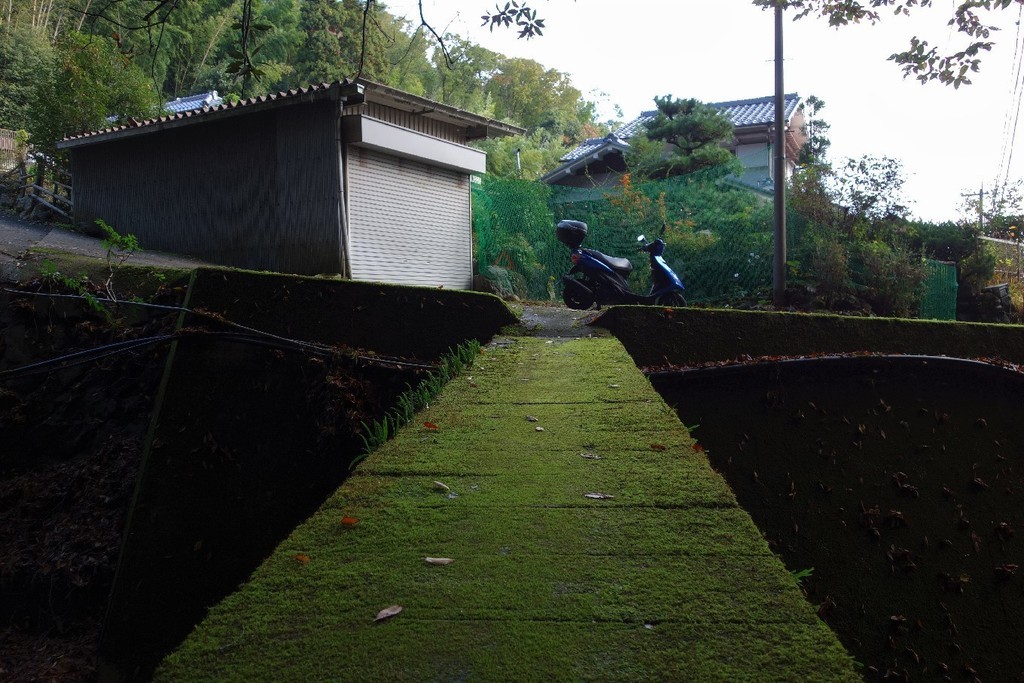 f:id:nonoty32a:20181205182132j:plain