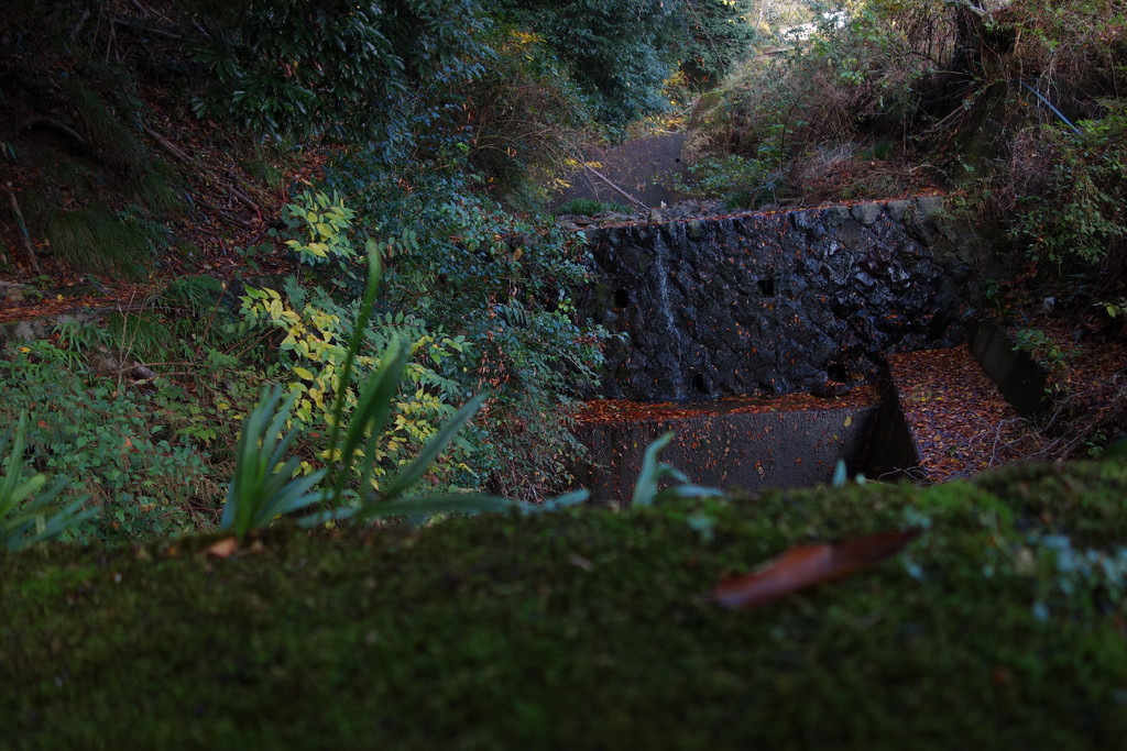 f:id:nonoty32a:20181205183302j:plain