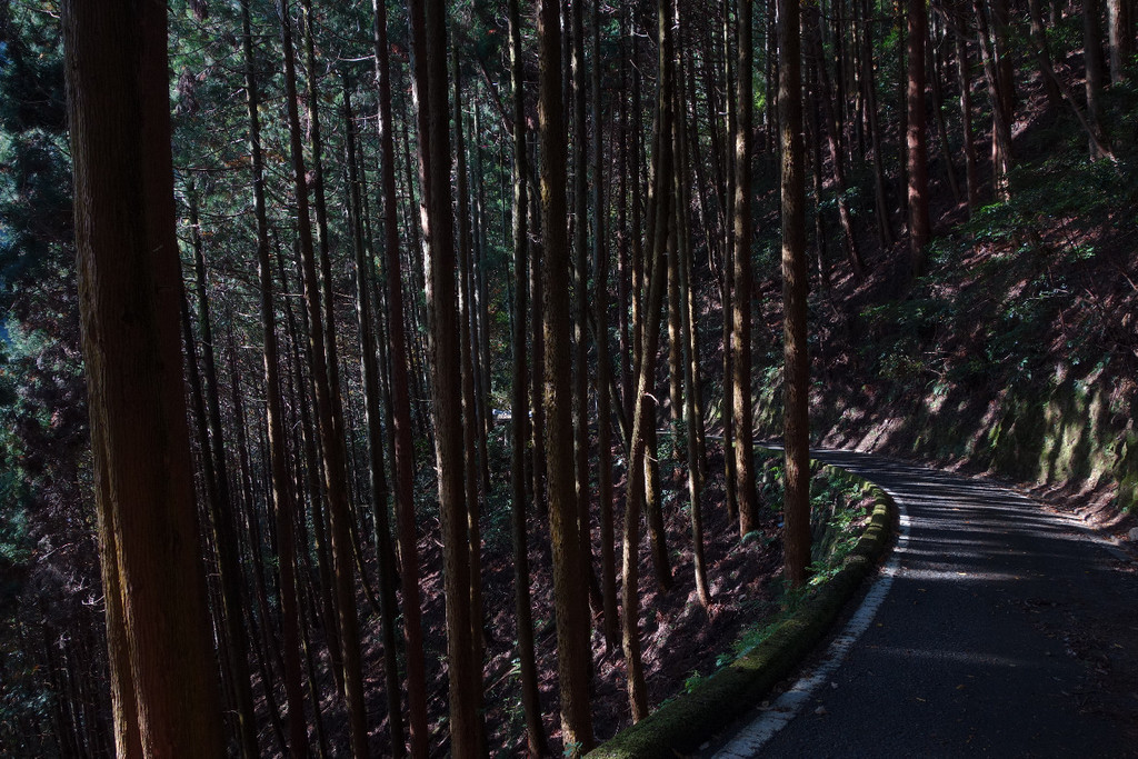 f:id:nonoty32a:20181206181803j:plain