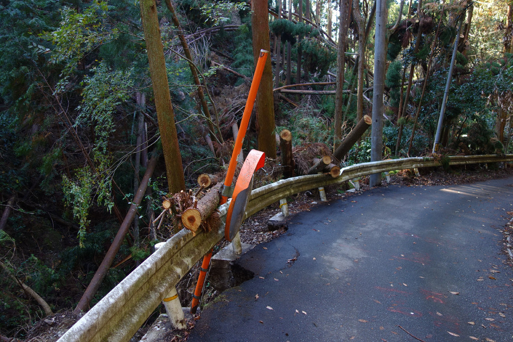 f:id:nonoty32a:20181206181901j:plain