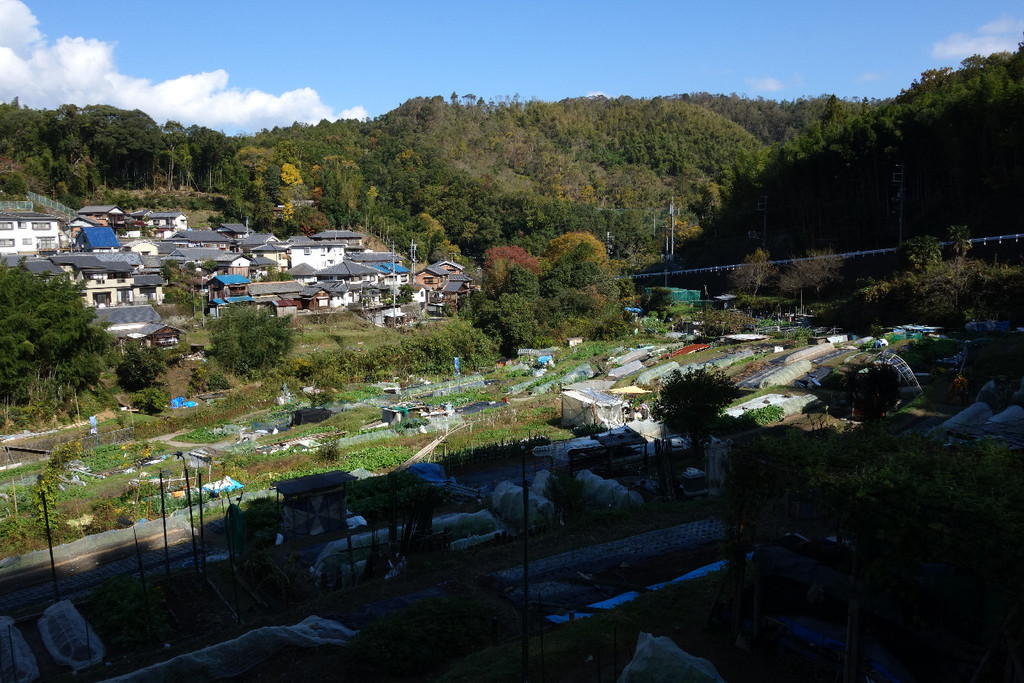 f:id:nonoty32a:20181206182008j:plain