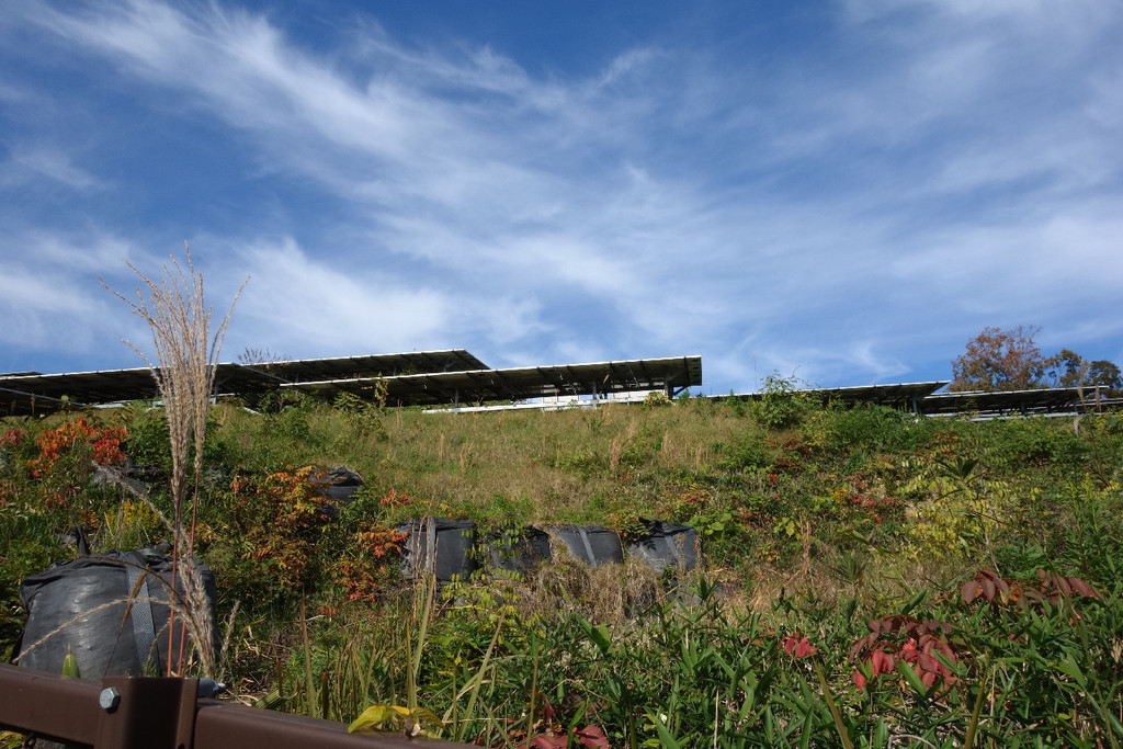 f:id:nonoty32a:20181211193341j:plain