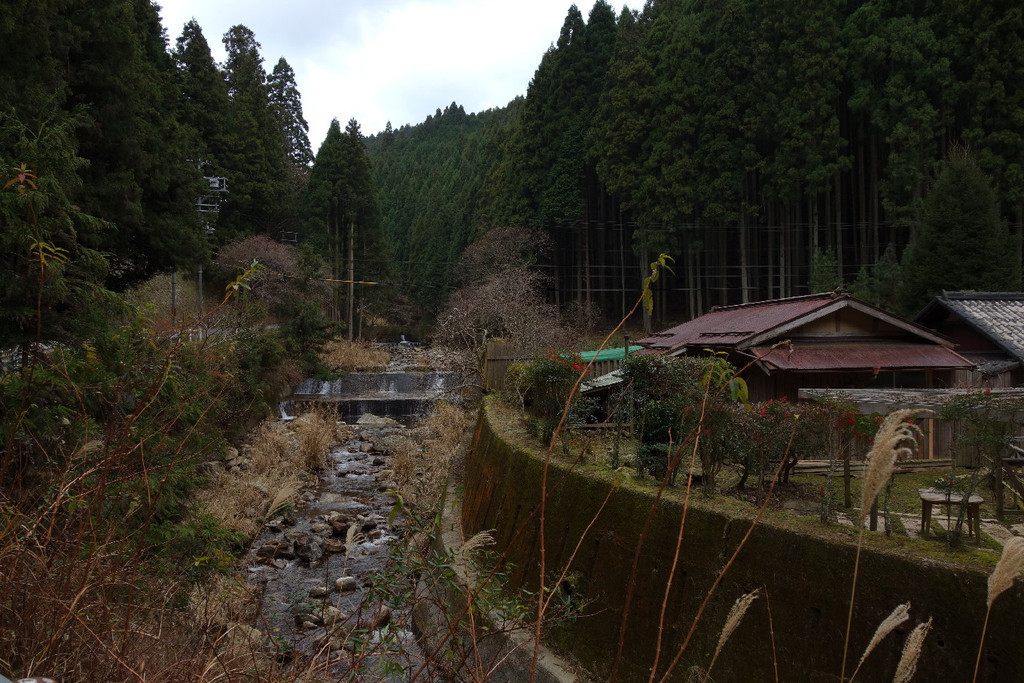 f:id:nonoty32a:20190107195503j:plain