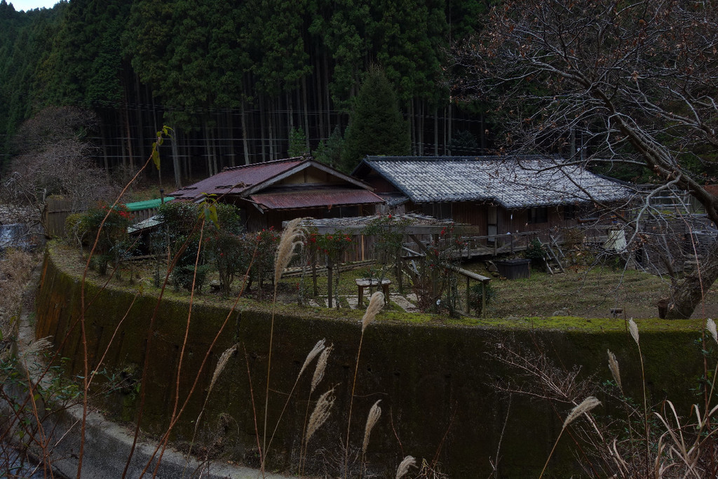 f:id:nonoty32a:20190107195725j:plain