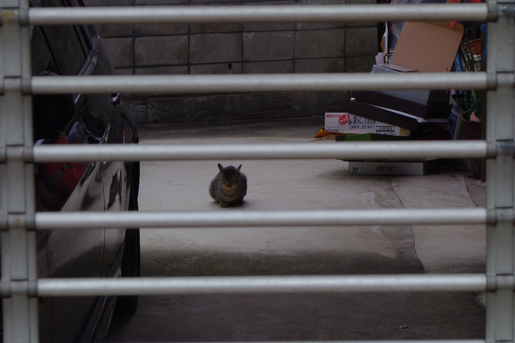 f:id:nonoty32a:20190204195429j:plain