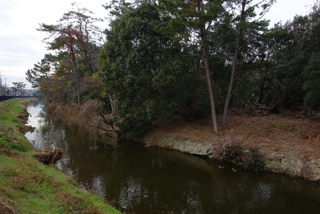 f:id:nonoty32a:20190204195712j:plain